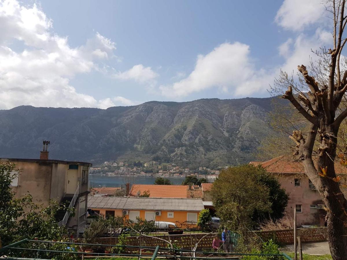Modern Apartment Doris Kotor Buitenkant foto